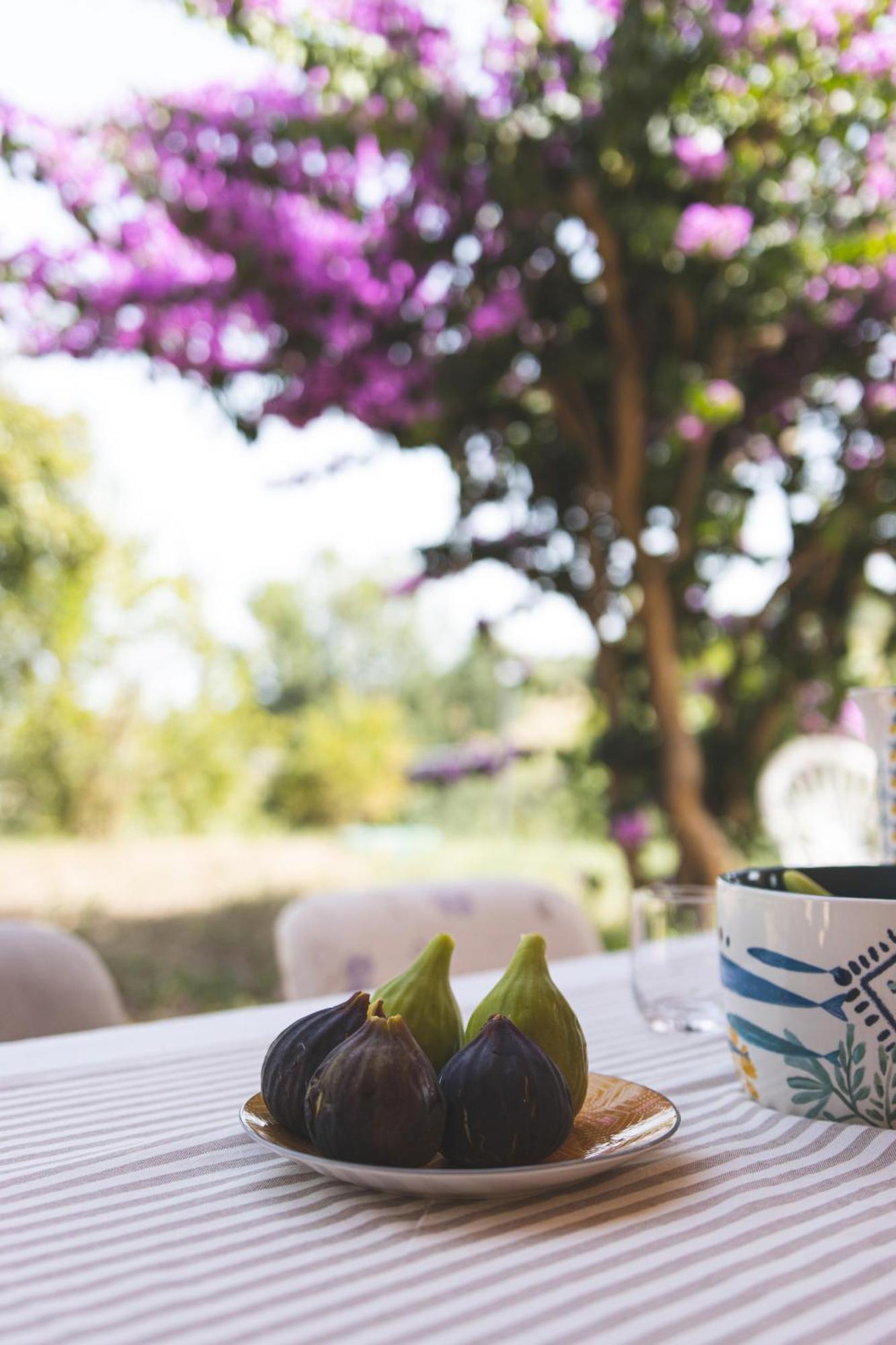 Villa Mariposa Civitanova Marche Kültér fotó